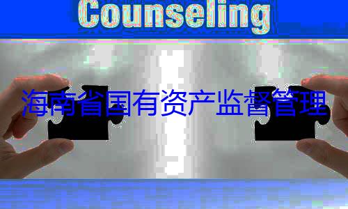 海南省国有资产监督管有福接受审委副书记王查调查理委员会党